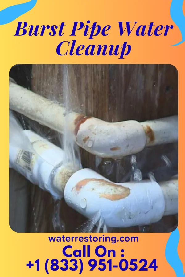 Burst Pipe Water Cleanup in River Edge, NJ