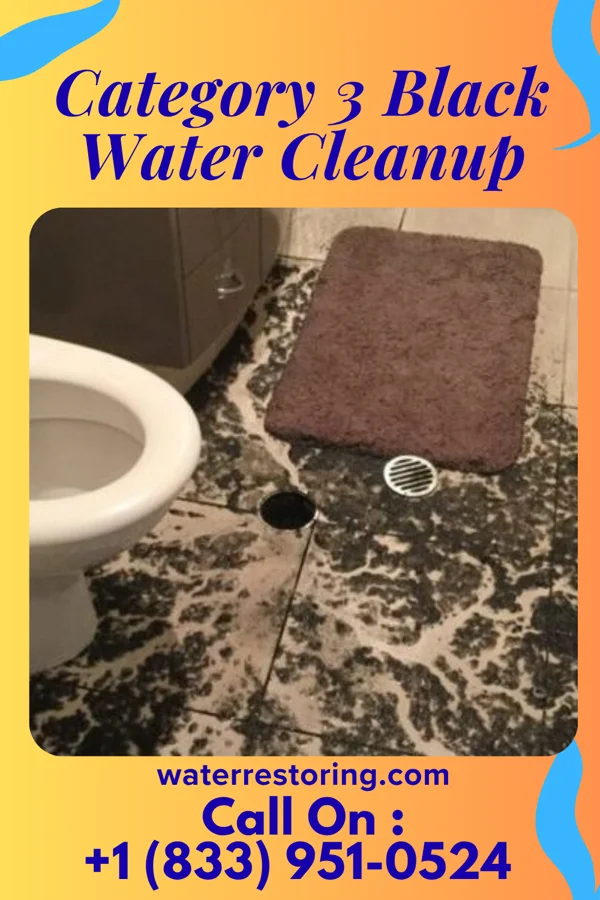 Category 3 Black Water Cleanup in River Edge, NJ
