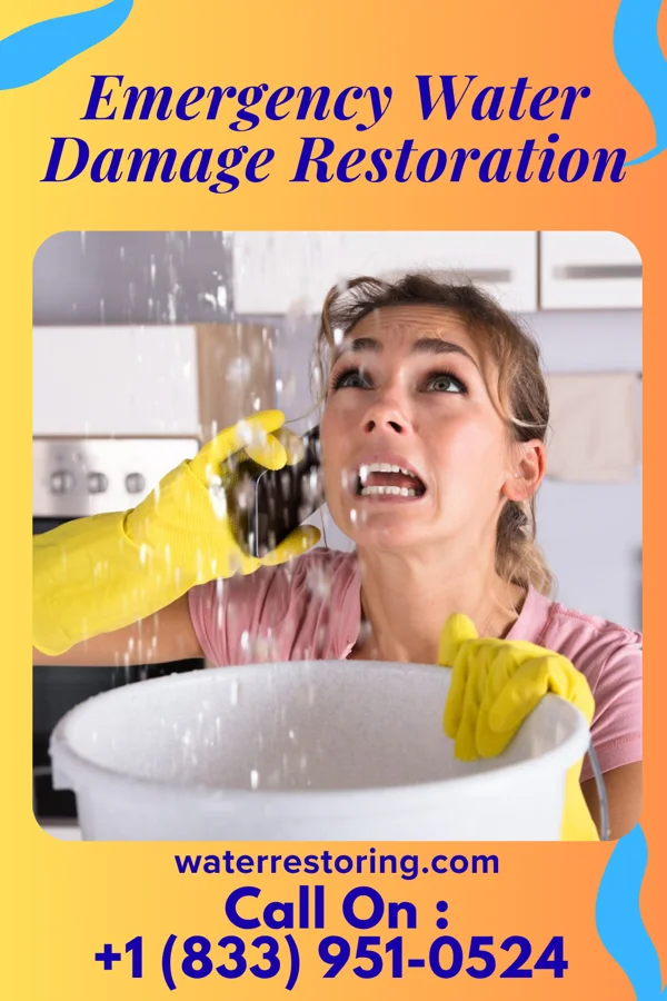 Emergency Water Damage Restoration in River Edge, NJ