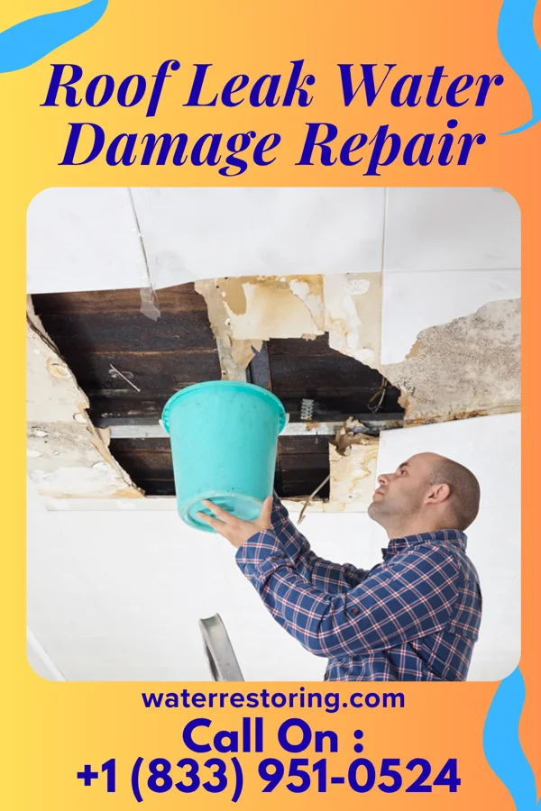 Roof Leak Water Damage Repair in River Edge, NJ