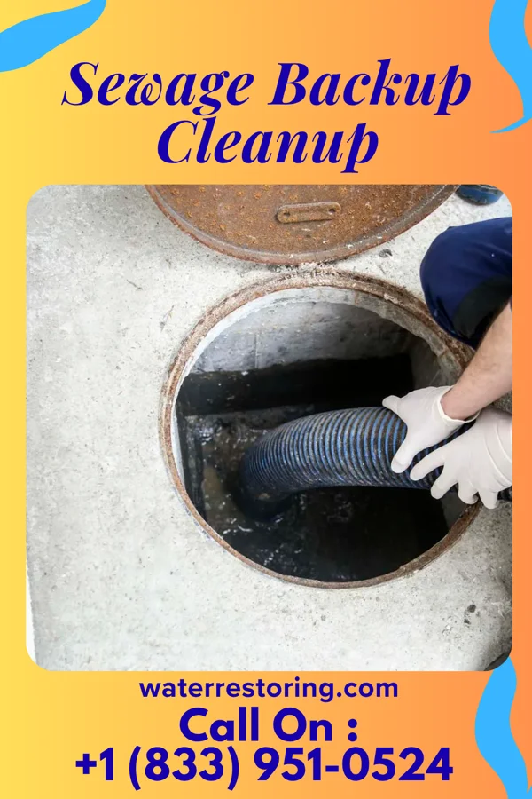 Sewage Backup Cleanup in River Edge, NJ