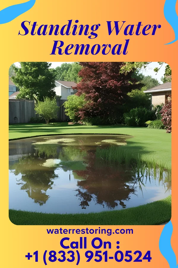 Standing Water Removal in River Edge, NJ